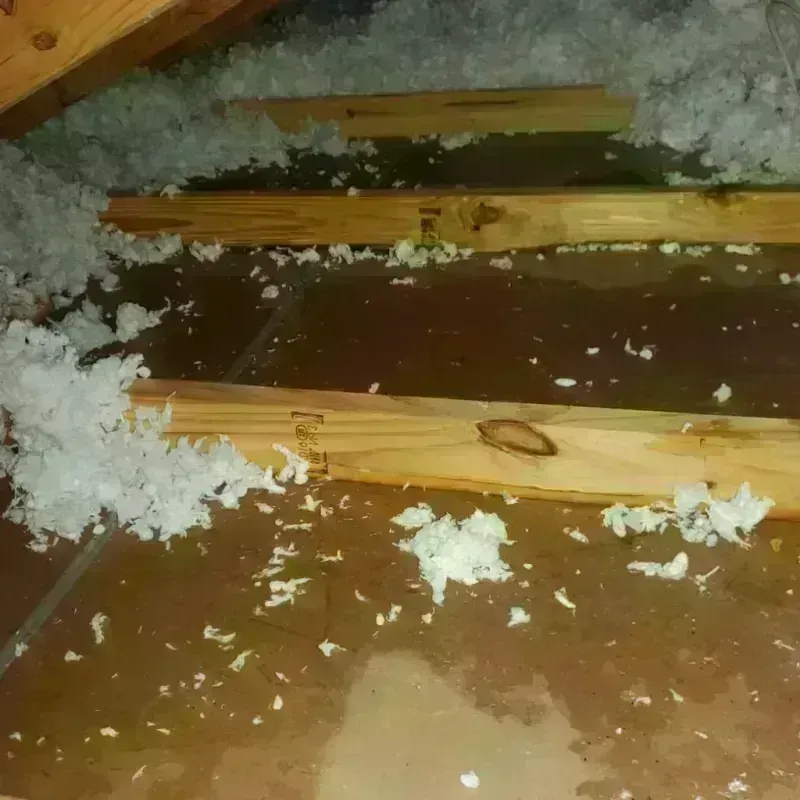 Attic Water Damage in Allendale, NJ